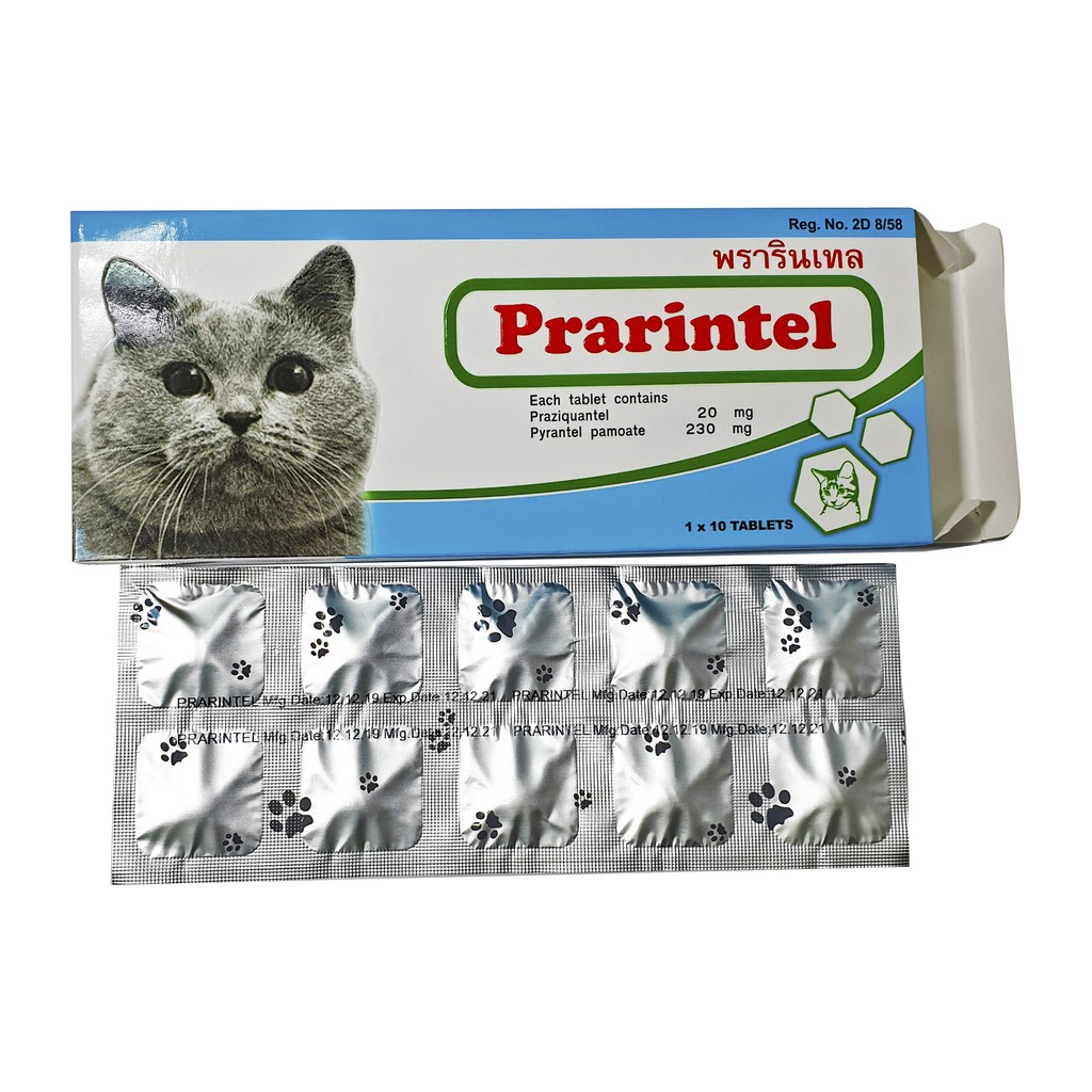 Prarintel - Viên xổ zun mèo của Thái Lan nhập khẩu trực tiếp