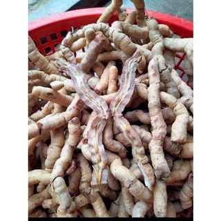 Ba kích tím Quảng Ninh 500g