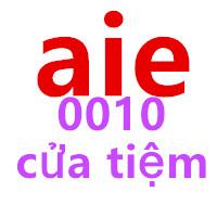 aie0010 cửa tiệm