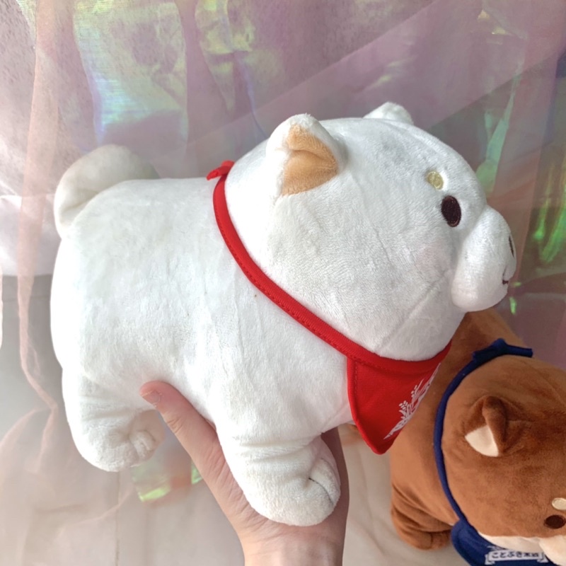 Gấu bông chó shiba