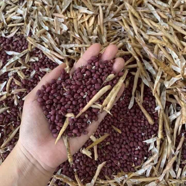 Bột đậu đỏ Nhà Làm