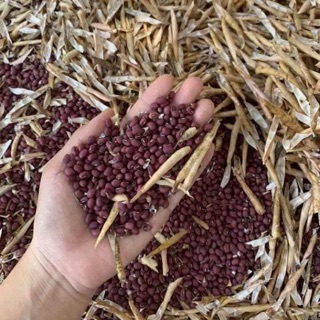 Bột đậu đỏ Nhà Làm