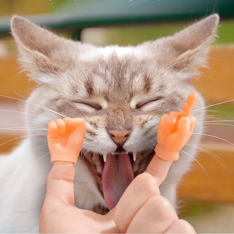 Đồ chơi trêu chọc bằng PVC hình dạng bàn tay vui nhộn cho cún mèo