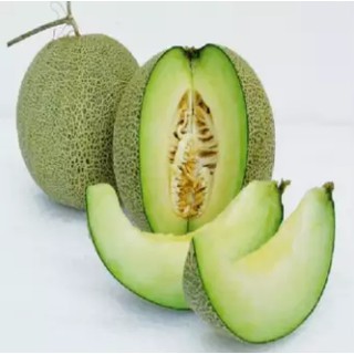 Hạt giống Dưa Lưới F1 - 1gr