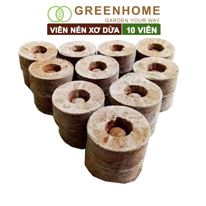 Viên nén xơ dừa, bao 10 viên, ươm hạt giống, trồng cây, ươm hạt , ươm cây giống, trồng dâu tây |Greenhome