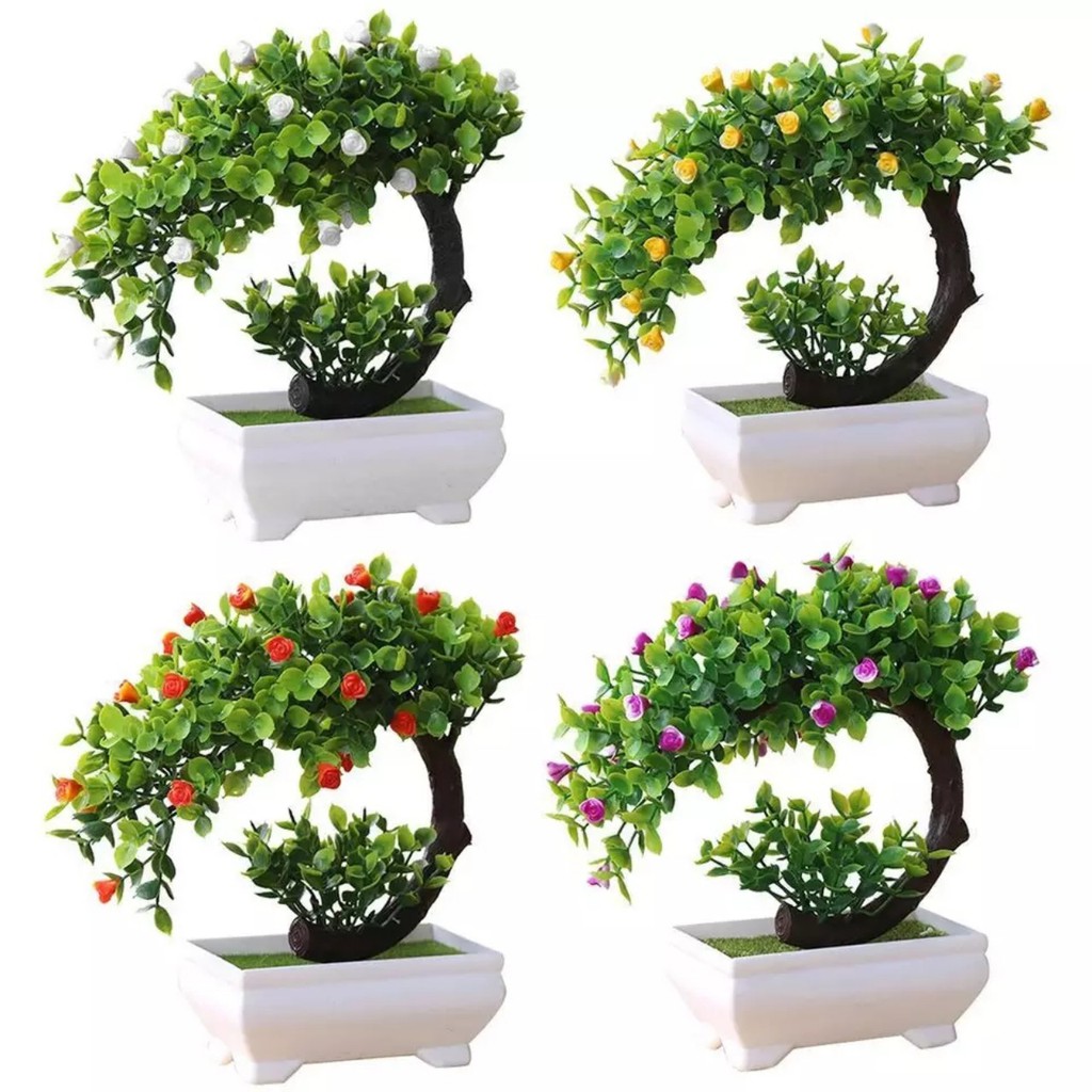 Chậu cây bonsai phú quý tài lộc trang trí nhà cửa kích thước 20cmx19cm