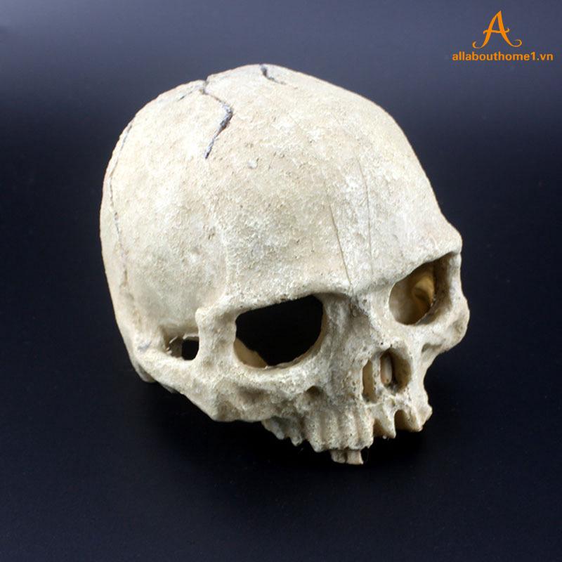 Mô hình đầu lâu trang trí bể cá