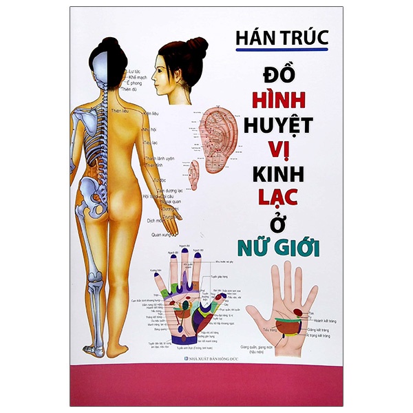 Sách Đồ Hình Huyệt Vị Kinh Lạc Ở Nữ Giới (Tái Bản)