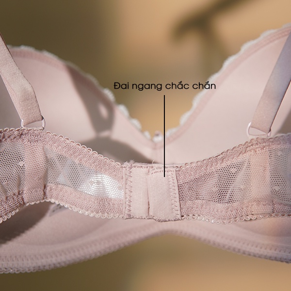 Bộ đồ lót ren nữ BY LINGERIE màu hồng không gọng mút đệm dày siêu nâng ngực B219 | BigBuy360 - bigbuy360.vn