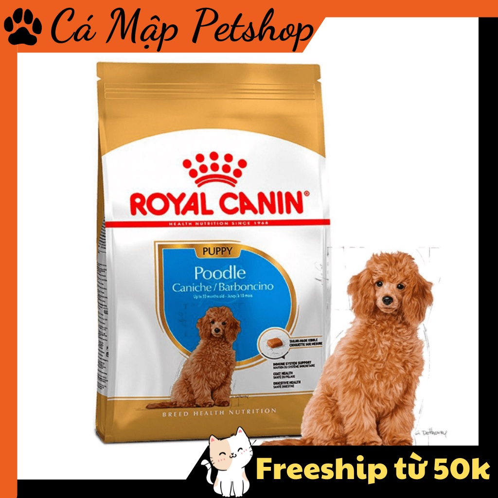 Hạt cho chó Poodle Royal Canin Poodle Puppy, Hạt cho chó Poodle nhỏ dưới 10 tháng tuổi