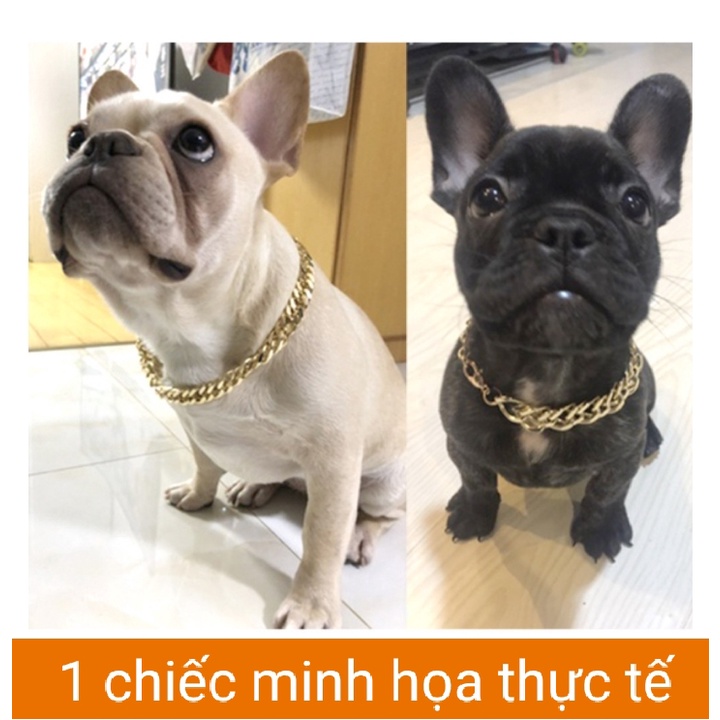 Vòng cổ dây xích phong cách Rich Kid siêu ngầu - Vòng cổ cho chó mèo