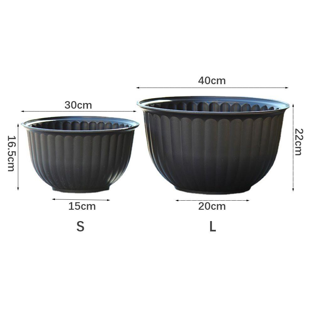 Chậu Trồng Cây Thủy Canh Dùng Trang Trí Văn Phòng