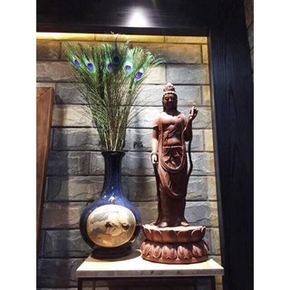 lông công tự nhiên dài