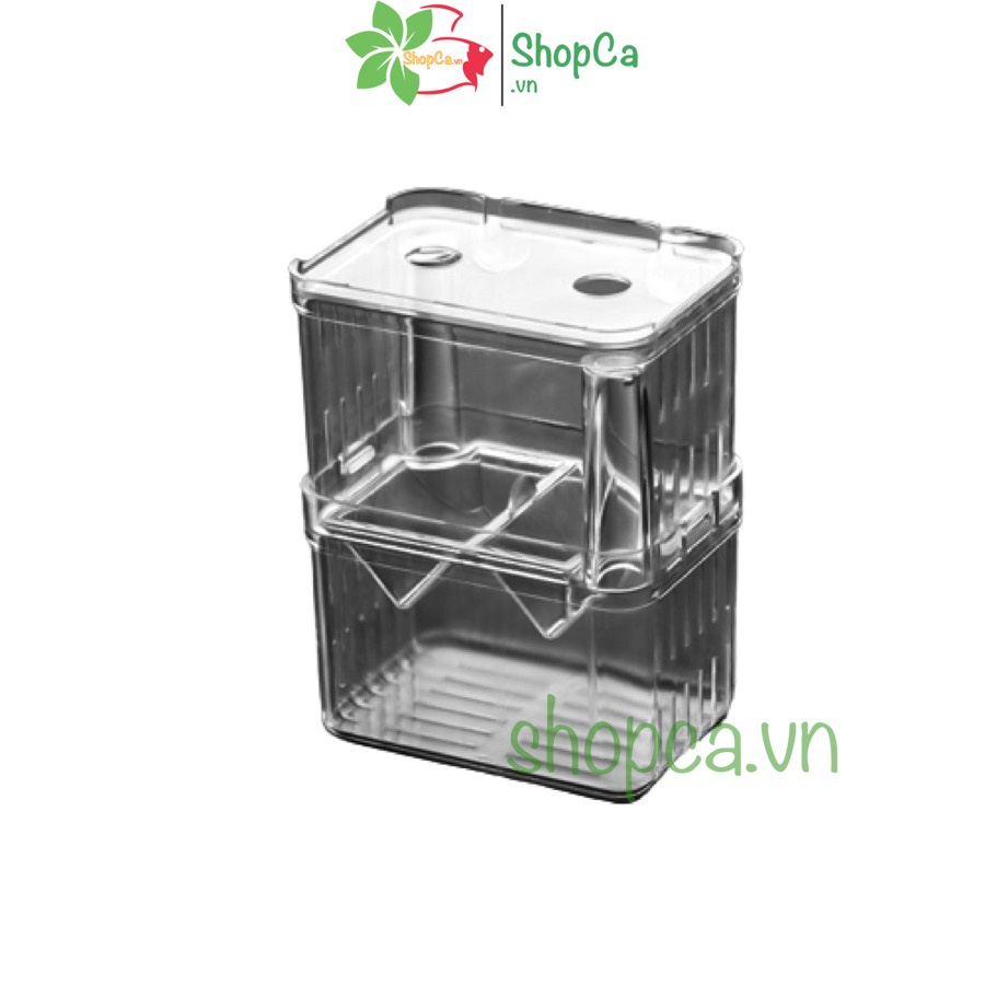 Lồng đẻ cho cá, tép bằng mika, box tách cá đẻ, có vòi sủi oxy dưỡng cá kích thước 10.2*8.2*13.3CM