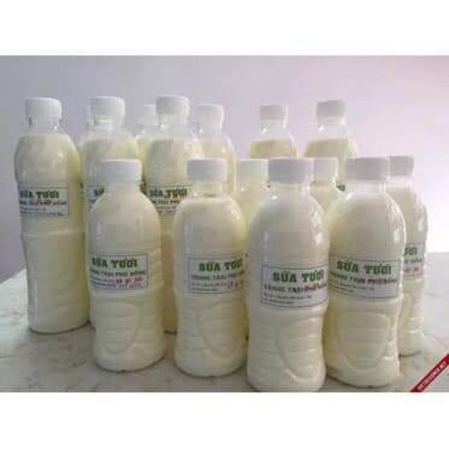 100 vỏ chai nhựa 350ml Việt Nhật