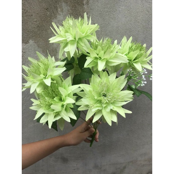 Cụm cúc râu trang trí nhà cửa sự kiện. hoa giả trang trí