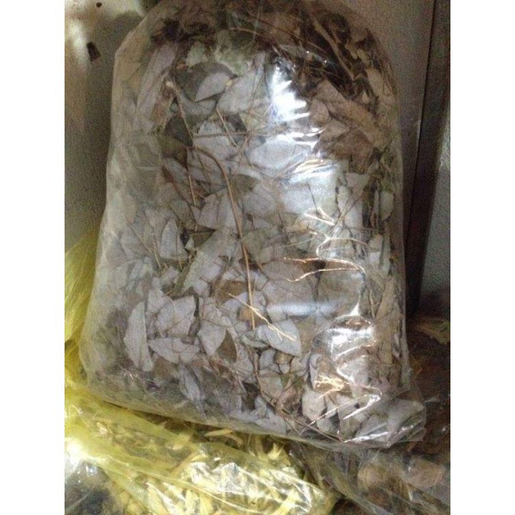 [1 lạng] Lá dâm dương hoắc khô hàng loại 1 toàn lá
