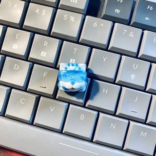 Nút Bàn Phím Keycap Artisan Felix Xanh Dương Pastel Dạ Quang Clone trang trí bàn phím cơ Lionvn