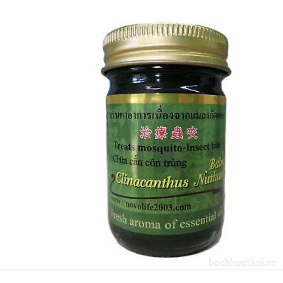 Dầu cù Green Herb Clinacanthus Nutans Balm Insect Bite xoa bóp ġiảm ƌau Thái Lan