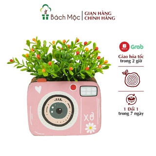 Lọ Hoa Gỗ Trang Trí BÁCH MỘC Để Bàn Kiểu Dáng Độc Đáo, Mới Lạ