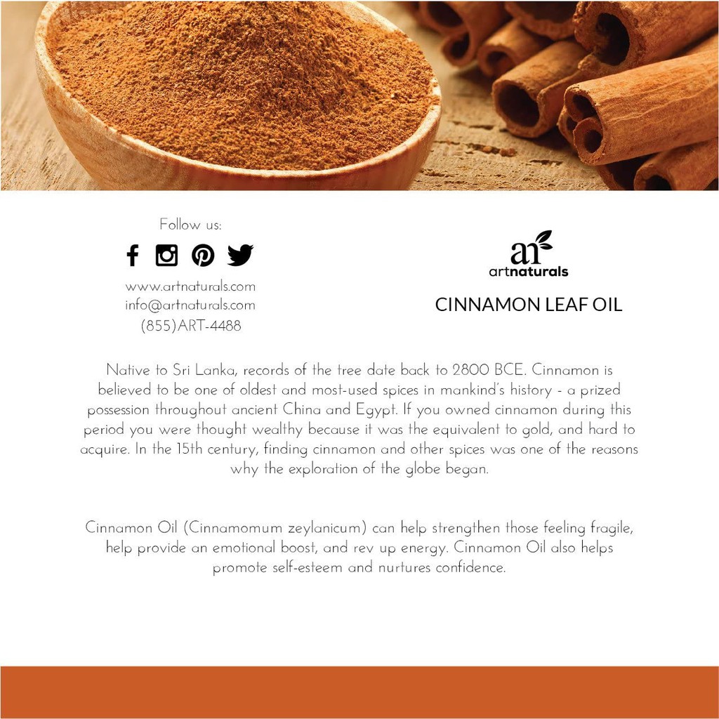 Tinh Dầu Lá Quế - Cinnamon leaf 10ml, ArtNaturals, trị liệu phương đông, cho Spa, Văn Phòng, USA