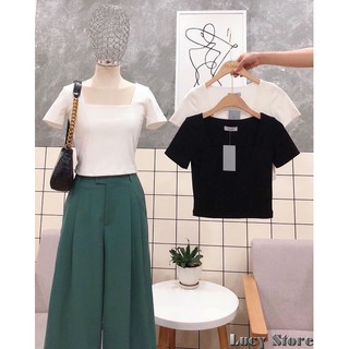 Áo croptop cổ vuông cộc tay