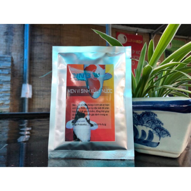 Men vi sinh hồ cá Bingo