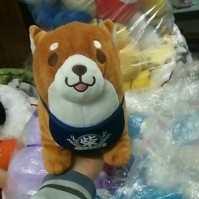 Gấu bông đẹp
