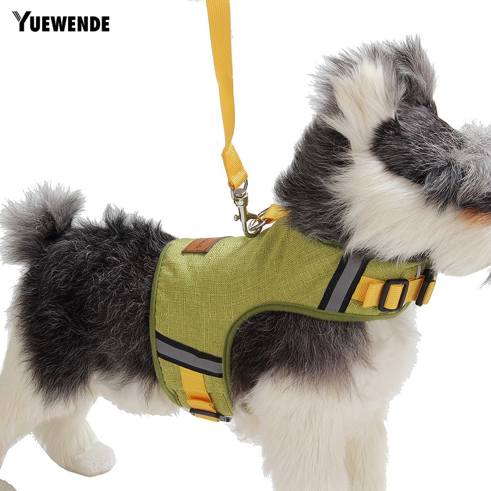 Áo Vest Kèm Dây Dắt Chó Đi Dạo Tiện Lợi