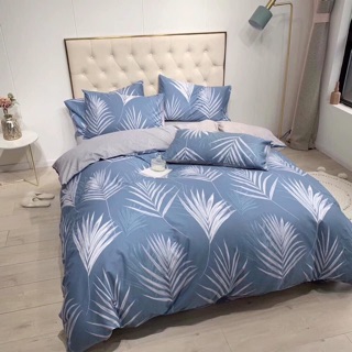 Vỏ drap cotton lụa Hàn Quốc