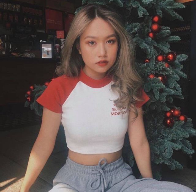 Áo croptop thun borip cao cấp tay ngắn phối màu cực đẹp