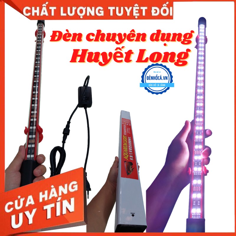 Đèn bể cá CHUYÊN DỤNG CHO HUYẾT LONG dùng kích lên màu cá