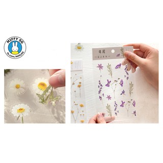 Bộ PET sticker HOA CỎ MÙA XUÂN