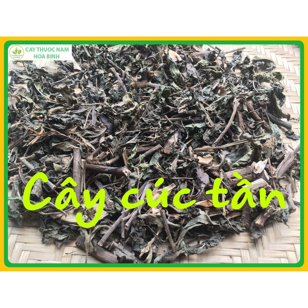 500g cây cúc tần khô sạch thơm (phơi nắng)