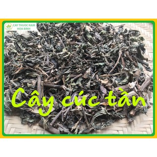 1kg cây cúc tần khô thơm sạch (phơi nắng)