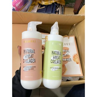 gội xả lúa mạch  800ml