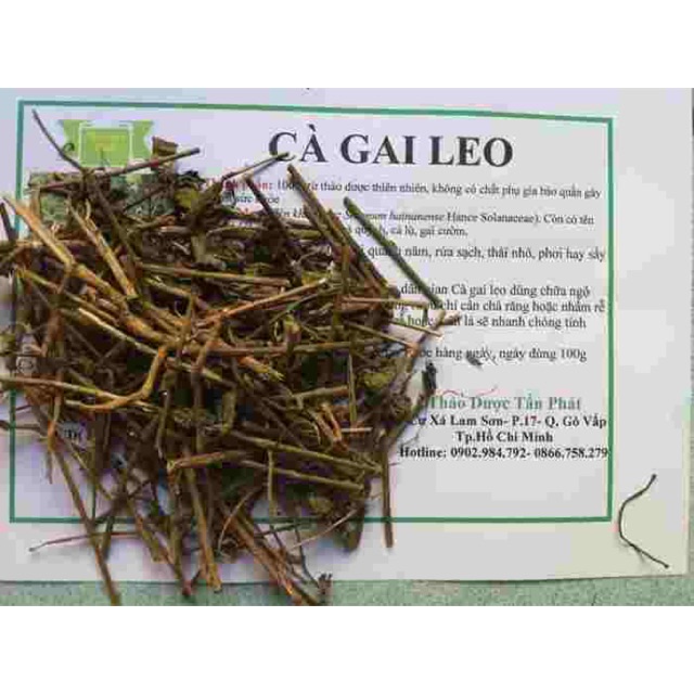 CÀ GAI LEO MỌC TỰ NHIÊN TRÊN NÚI ĐÁ 1Kg