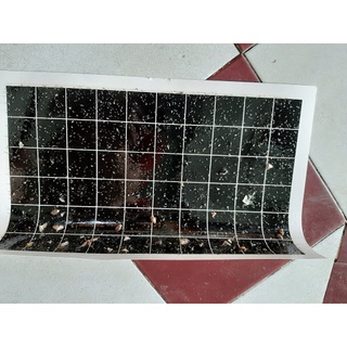 Combo 10 tấm keo đèn bẫy côn trùng 46 - 30cm hàn quốc