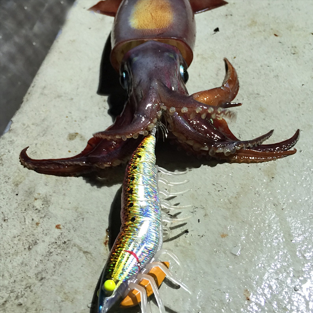 MUVAKO Mồi Câu Giả Chìm Hình Con Tôm Phát Sáng