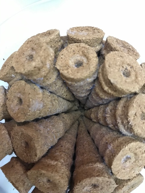 Hương trầm Nụ Hoàng Đàn Lạng Sơn