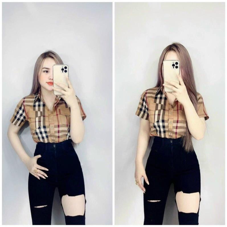 Áo Burberry nữ tay ngắn !