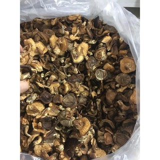 NẤM HƯƠNG RỪNG SA PA (GÓI 500G)