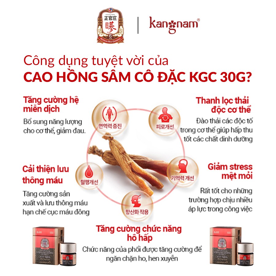 Tinh Chất Hồng Sâm Cô Đặc KGC Cheong Kwan Chang Global Extract 30G