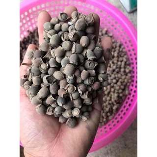 1Kg Quả sim rừng khô(quả to,mới,sạch)