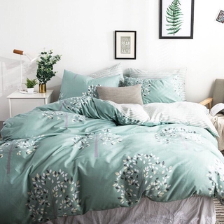 Bộ chăn ga cotton 6s