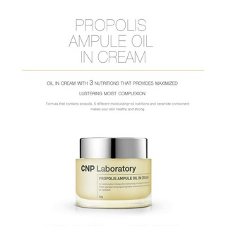 Dầu Ampule Keo Ong CNP 50ml