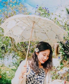 VÁY CÚC HOẠ MI SIÊU ĐẸP