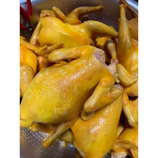 GÀ Ủ MUỐI HOA TIÊU