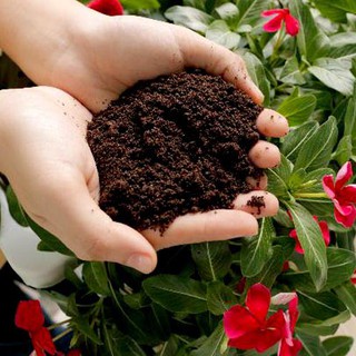 Phân bón trùn quế hữu cơ nguyên chất bổ sung dinh dưỡng cải tạo đất cây trồng