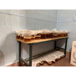 Trà kombucha/ scoby hiệu tam thái tử